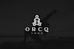 do logo design with brand identity guidelines and branding