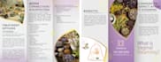 design professional bifold or trifold brochure design