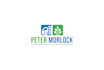 do modern minimalist logo design for your business