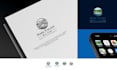 do professional logo design and brand identity