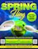 do a business flyer design for your company