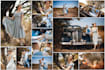 edit photos in lightroom, bulk color correction wedding pics