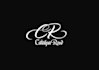 write your logo or name with hand drawn calligraphy
