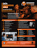 design professional flyer or poster for your business