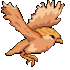 do any pixel art and animations