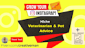 grow your instagram organically