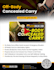 do professional flyer design