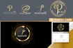do professional complete branding for your business  logo and brand kit