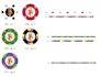 recreate, redraw, rebuild, modify, redesign logo in adobe illustrator