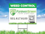 design yard sign, billboard in 24 hours