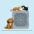 create animated gif or lottie json animation