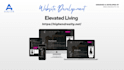 design and develop a wordpress website for your business