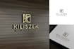 create modern minimalist elegant business logo design