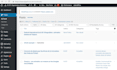 do anything for your wordpress website