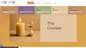 develop and design wordpress lms website with learndash