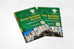 design clean and professional flyers, posters and brochures