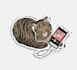 create custom sticker design