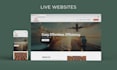 develop a wordpress website design with elementor, acf, or elementor pro