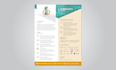write and design a government contractor capability statement