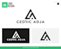 do a minimalist logo for business or website