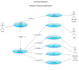create uml class use case sequence activity object diagram