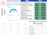 audit website index google search console technical SEO expert schema markup