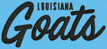 super fast embroidery digitizing services in 2 hours rush order expert