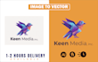 redraw, vectorize, convert logo or graphic to vector
