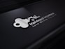 do modern logo design for your business