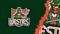 design badge or mascot logo for your sport team