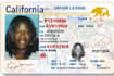 do custom background removal and photo editing as you choice