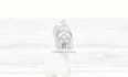 create minimalist wedding logo design