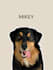 drawing custom pet portraits, cats, dogs, and other animals
