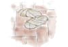do concept hand drawn architectural render sketch