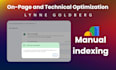 audit website index google search console technical SEO expert schema markup