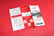 design a professional trifold, bifold, or business brochure