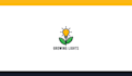 create custom minimalist logo design for your business