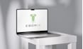 design a timeless minimalist logo and professional brand identity