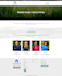 update, fix, customize and set up your wordpress site