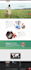 fix wordpress errors, issues and bugs