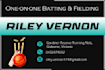 design a modern and outstanding cricket logo