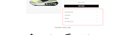design or develop a professional shopify store that converts