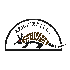 rotate your logo in loop in 3d for loading animation