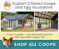 design professional banner ads