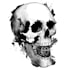 draw an great tattoo design