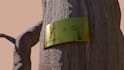 do 3d model hard surface