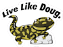 create customized stickers design and vector art