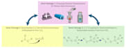 design medical figures and scientific illustrations