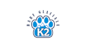 do modern business logo design with copyrights