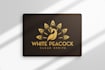 design a logo design
